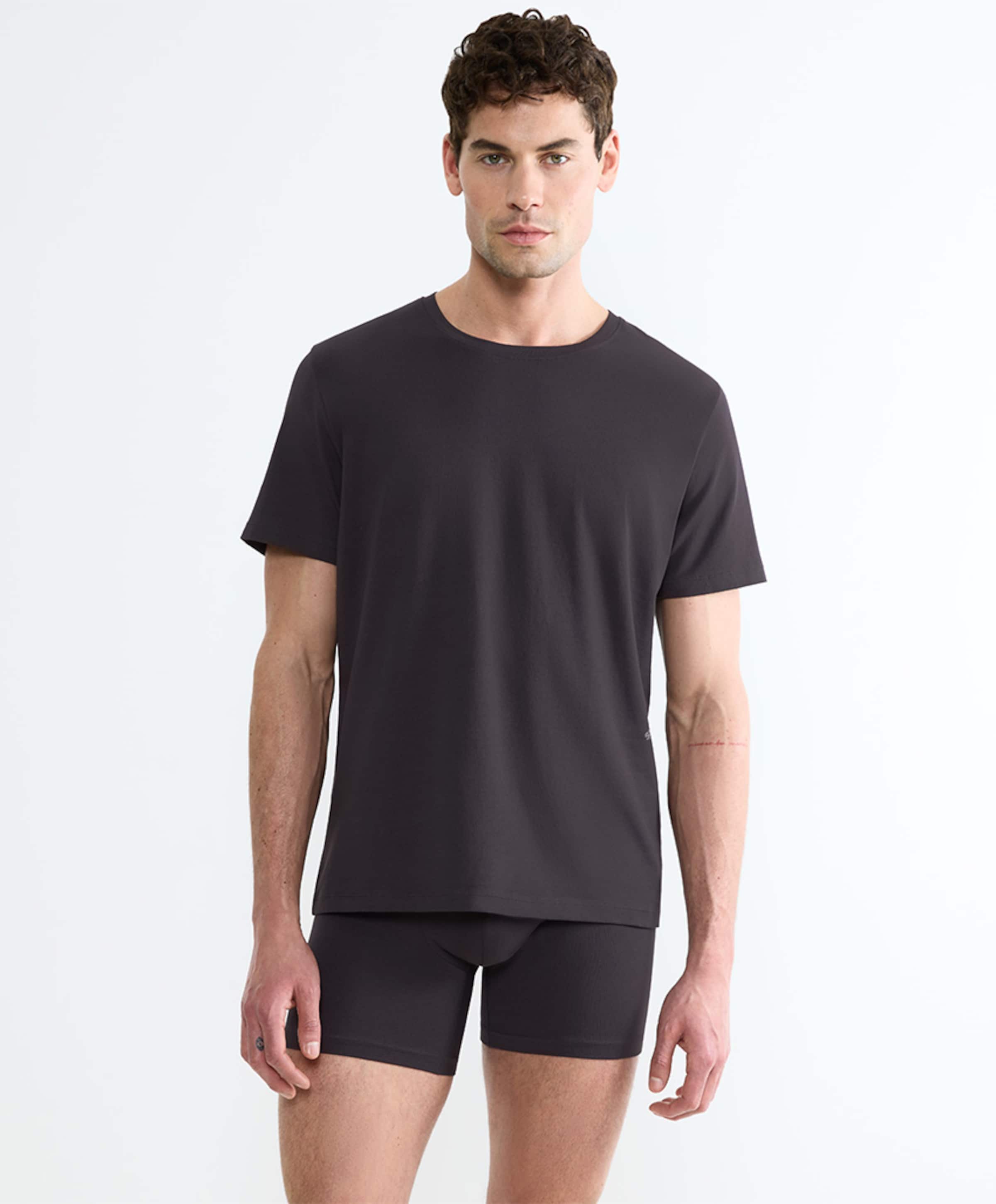 Sloggi Heren T-shirt grijs