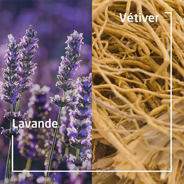 Weleda Shower Bar Douche Végétale Solide Lavander & Vétivier Bio 75g