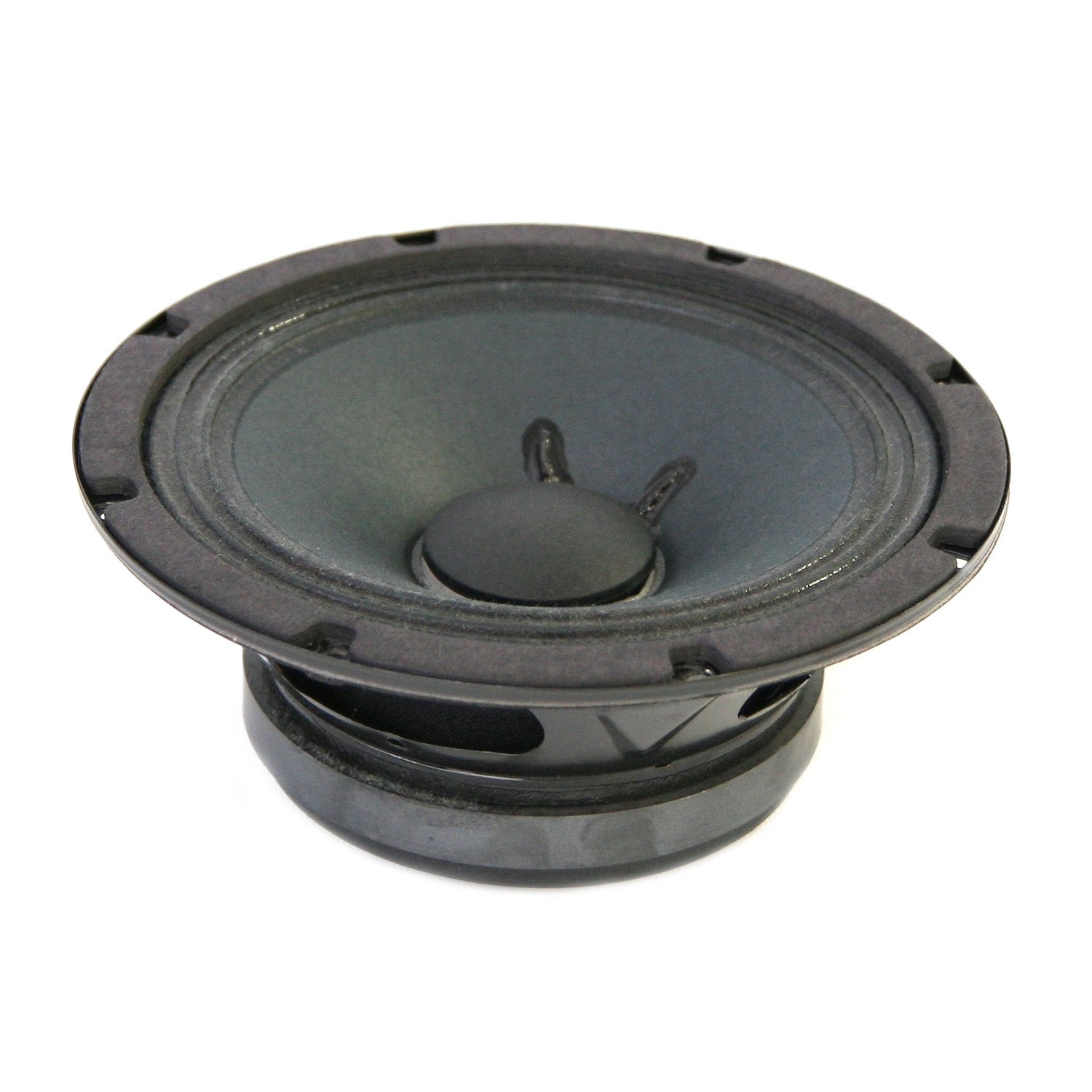 Electro-Voice ZX-1 woofer 8-inch