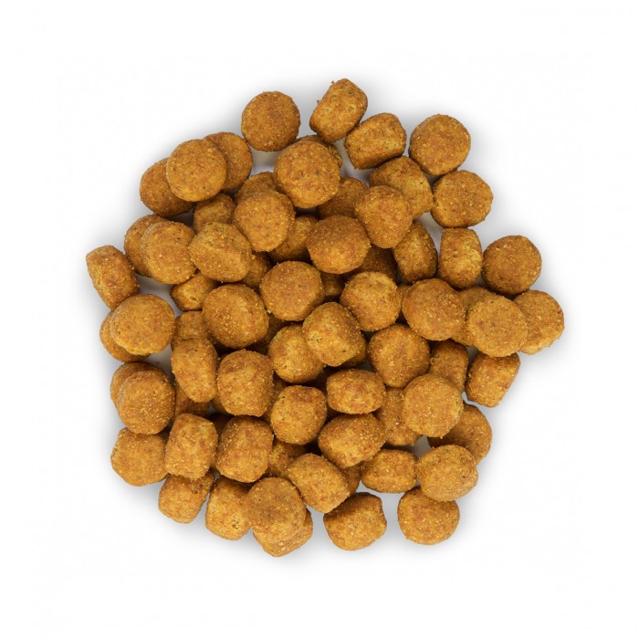 HILL'S Science Plan Medium Adulte au Poulet - Croquettes pour chien