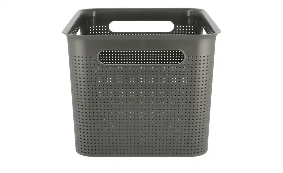 Rotho Aufbewahrungsbox 36 cm
