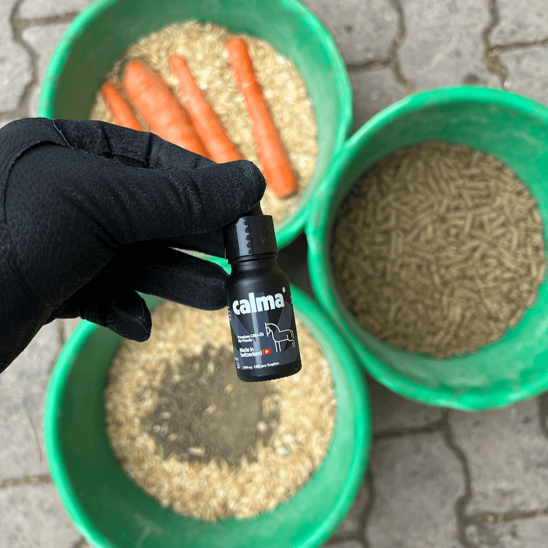 CALMA CBD para Cavalos | Óleo de CBD