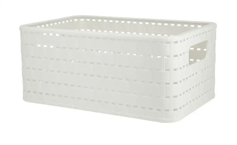 Rotho Aufbewahrungsbox 18,5 cm