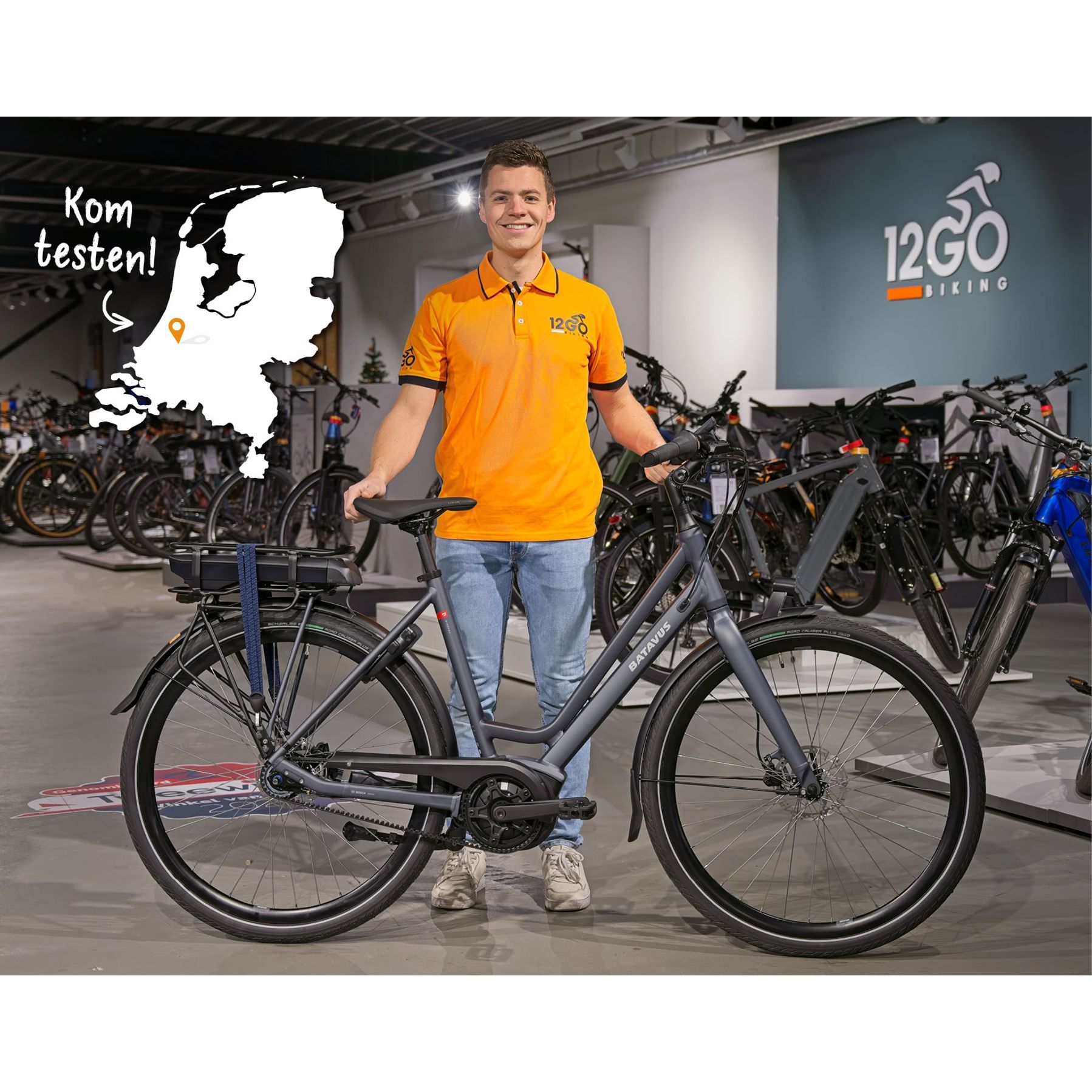 Batavus Dinsdag E-Go Exclusive LTD