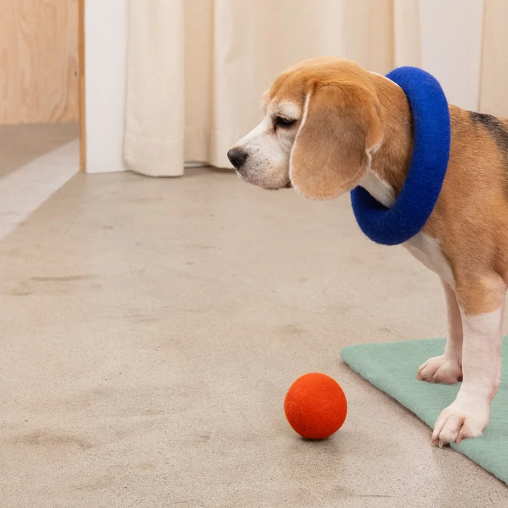 myfelt - Isa Hundespielzeug, Stock, royalblau
