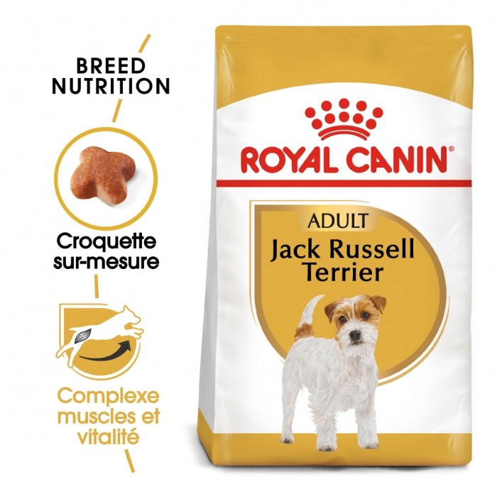 Royal Canin Jack Russell Adult - Croquettes pour chien