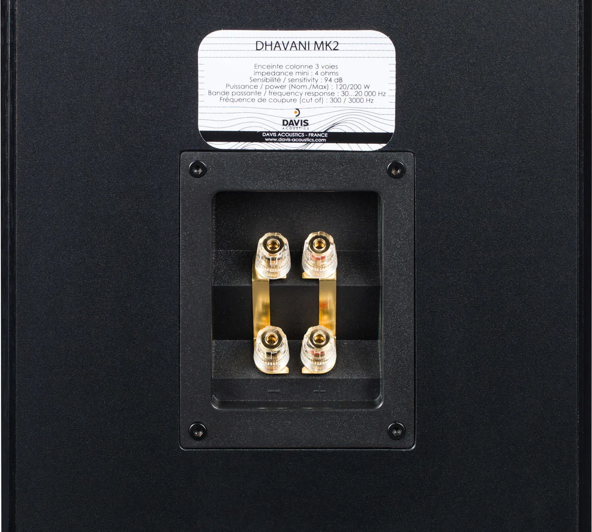 Davis Dhavani MK2 (la paire) Enceintes colonne