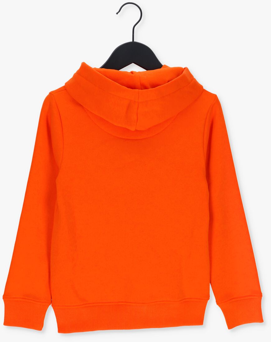 RAIZZED oranje raizzed sweater wilkes
