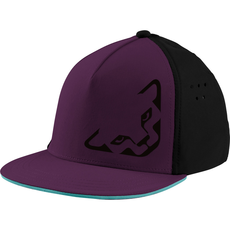 Dynafit Tech Trucker Cap