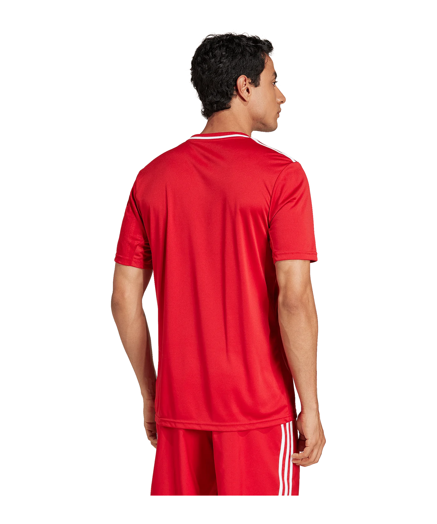 adidas Campeon 25 Trikot Rot