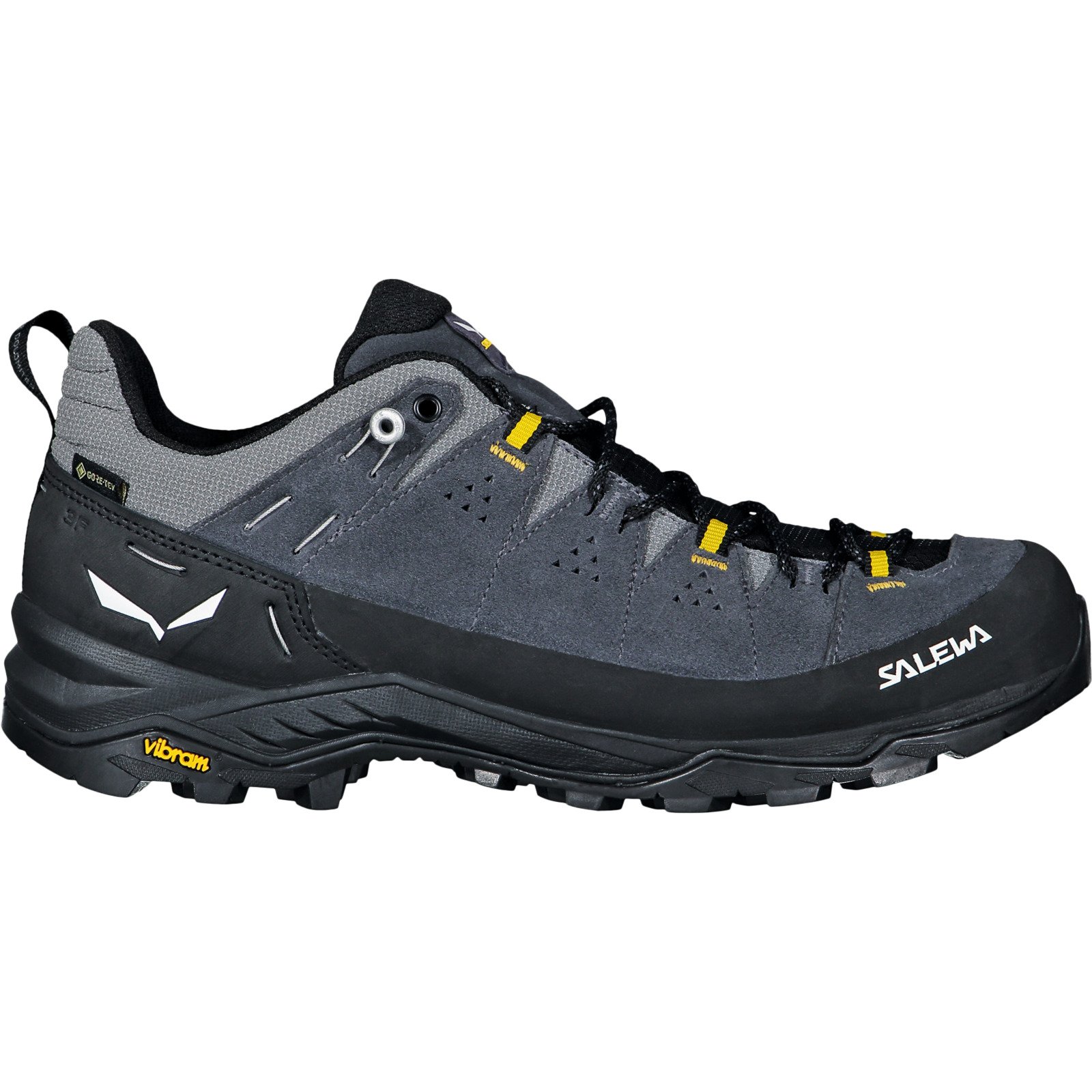Salewa Herren-Wanderschuh ALP Trainer 2 GTX 41