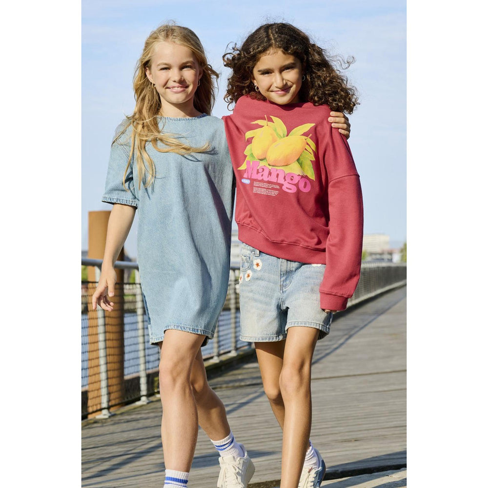 Køb kids ONLY Earth Red Mango Philea Life Overzise Fruit O-neck Sweatshirt