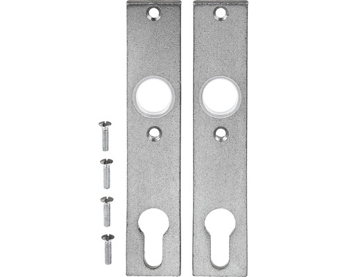 Lang bord voor tuinpoort, verzinkt, 30x155 mm
