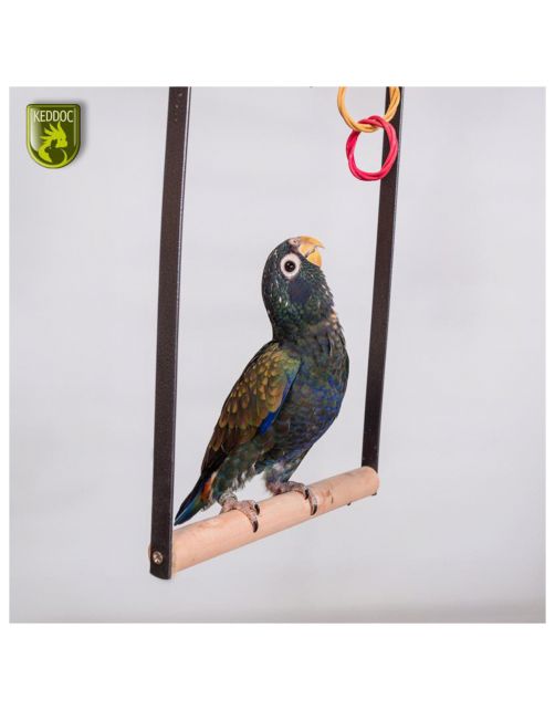 Keddoc Play Stand Iowa - Vogelverblijven - 92x54x142 cm Donkergrijs
