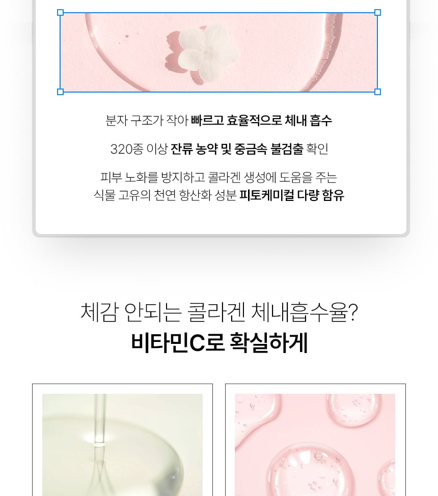 EVERYDAZE - Essential C's Konjac Jelly - 4 soorten