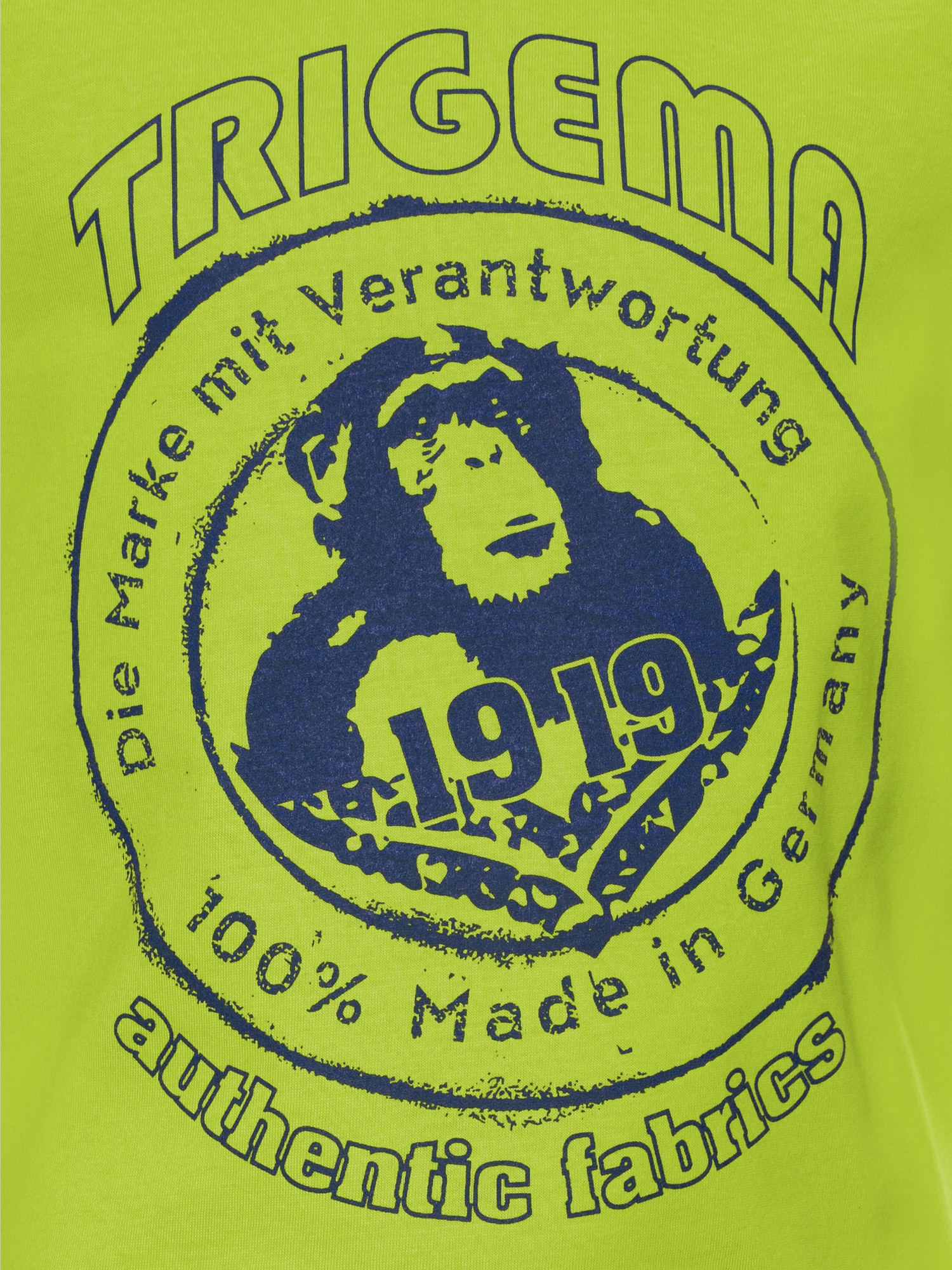 T-Shirt mit großem Printmotiv 