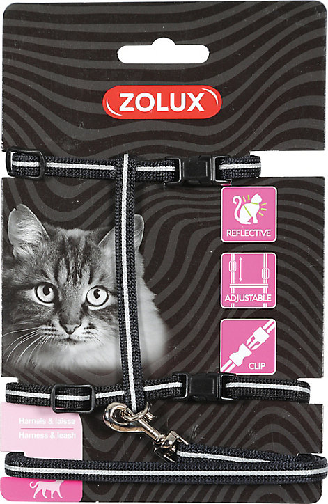 Kit sellerie pour chat noir