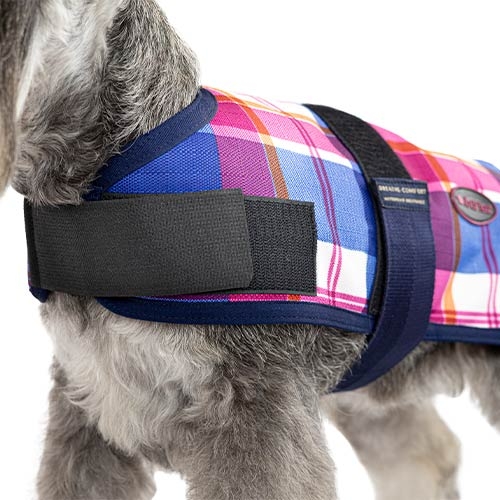Layer + Trendy Breathe Comfort Cereja LAYER + TRENDY BREATHE COMFORT CEREJA 25CM