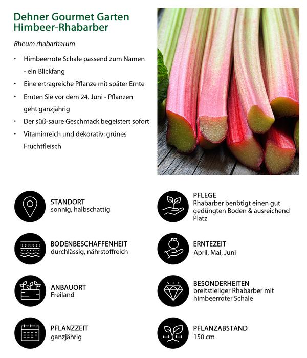 Dehner Gourmet Garten Himbeer-Rhabarber