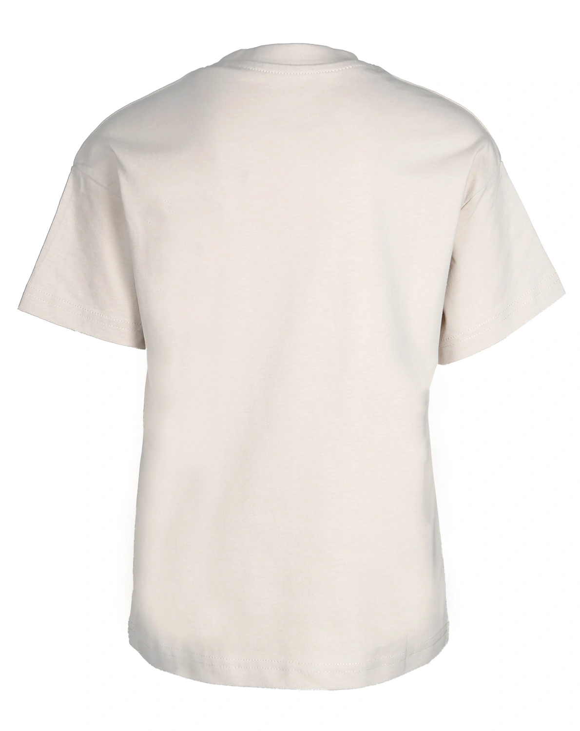T-Shirt JORVESTERBRO PICTURE in moonbeam