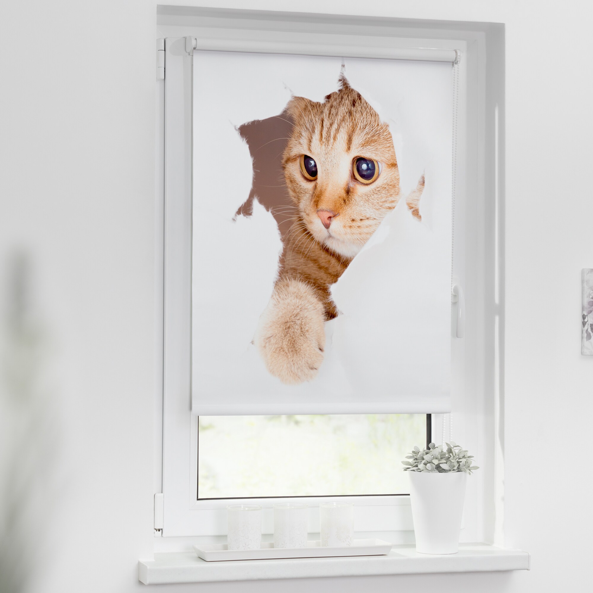 Lichtblick Rollo Klemmfix, ohne Bohren, Verdunkelung, Katze- Weiß Braun
