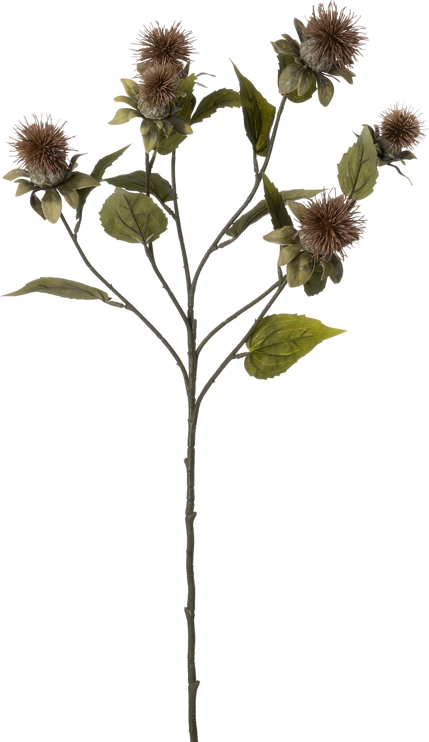 Intratuin kunstbloem Distel bruin 79 cm