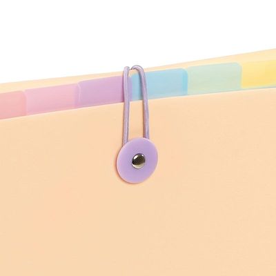 Viquel Rainbow Pastel - trieur à soufflet - pour A4 - disponible en différents coloris