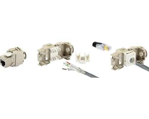 CAT 6A Keystone-module Schwaiger NKSS61 531