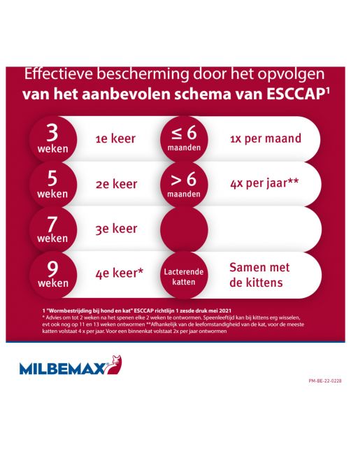 Milbemax Milbemax Kitten & Kat - Anti wormenmiddel - 2 tab 0.5 Tot 2 Kg