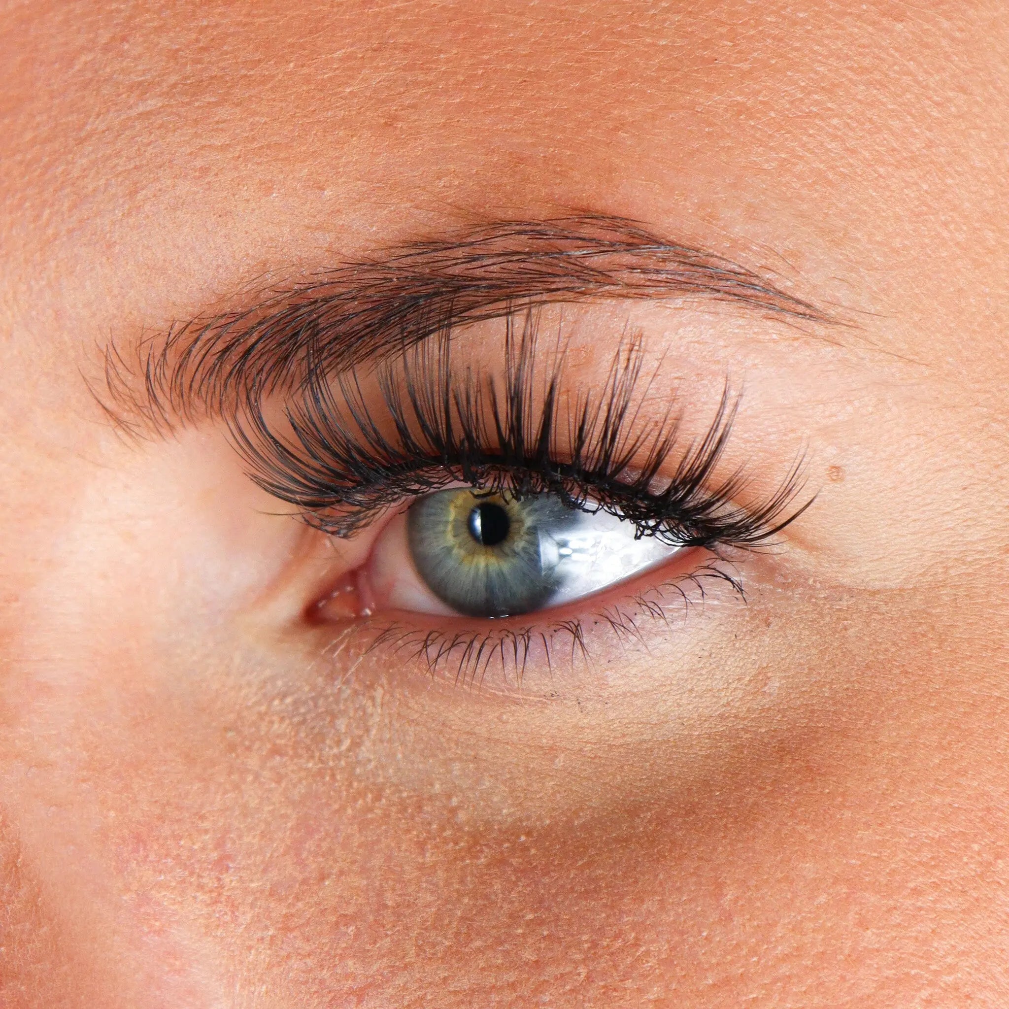 Lashes Lizzeth
