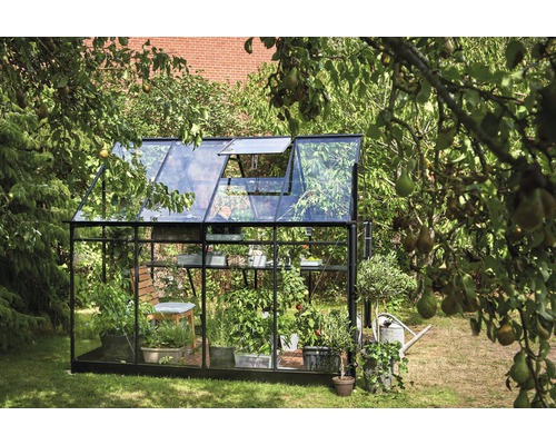 Halls Qube 68 kas, 5,1 m², 3 mm veiligheidsglas, 198 x 259 cm, zwart