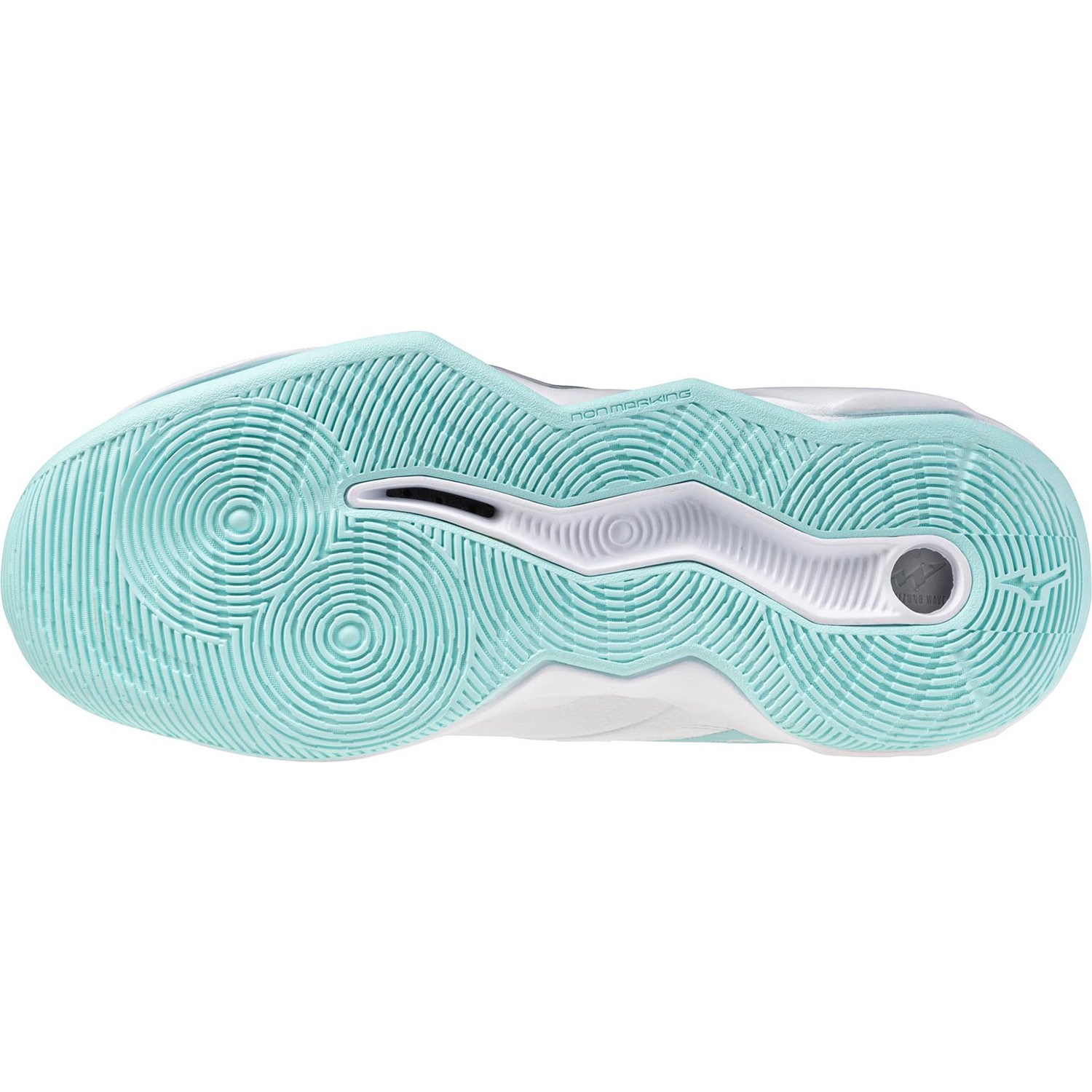 Mizuno Wave Momentum Pro Dames