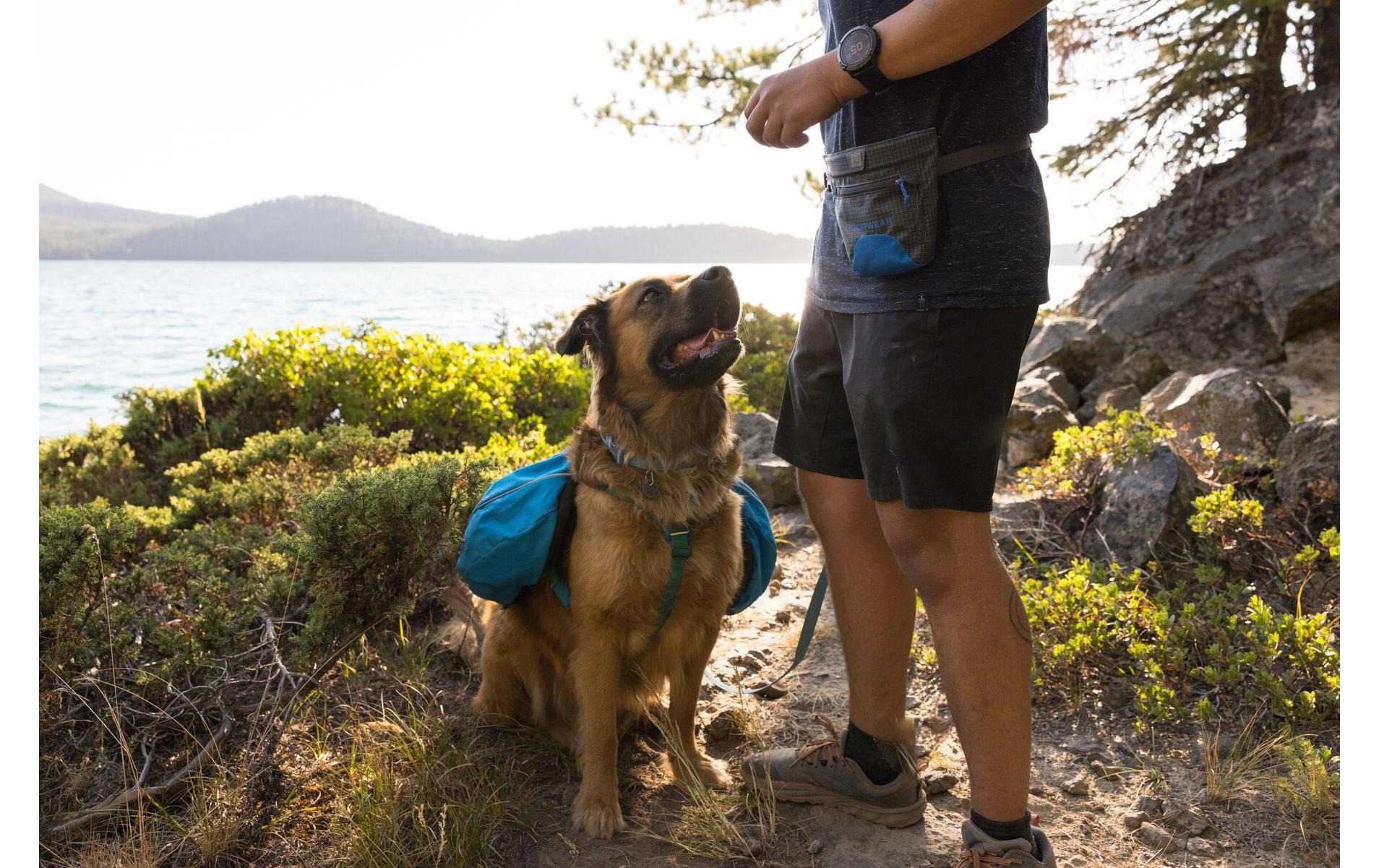 Snack-Tasche Treat Trader Pouch, Blue PoolLeckerli-Beutel für Hunde
