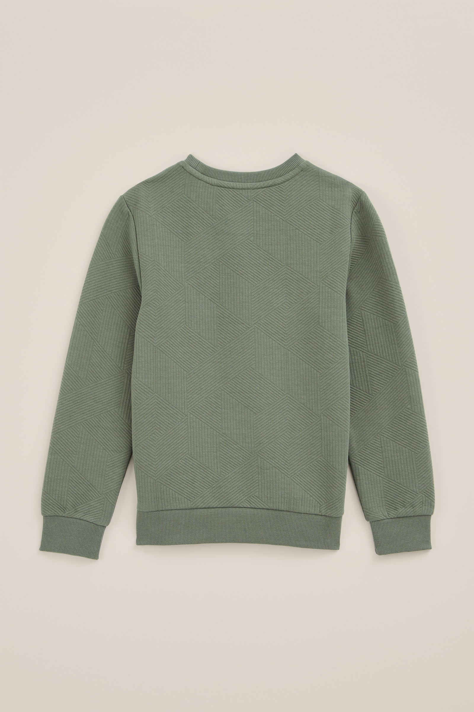 Jongens sweater met structuur Blue Ridge Legergroen