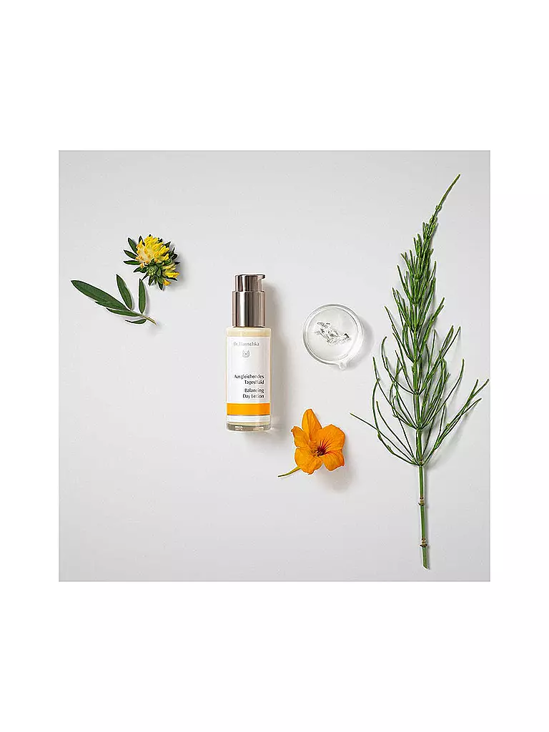 DR. HAUSCHKA Gesichtscreme - Ausgleichendes Tagesfluid 50ml keine Farbe