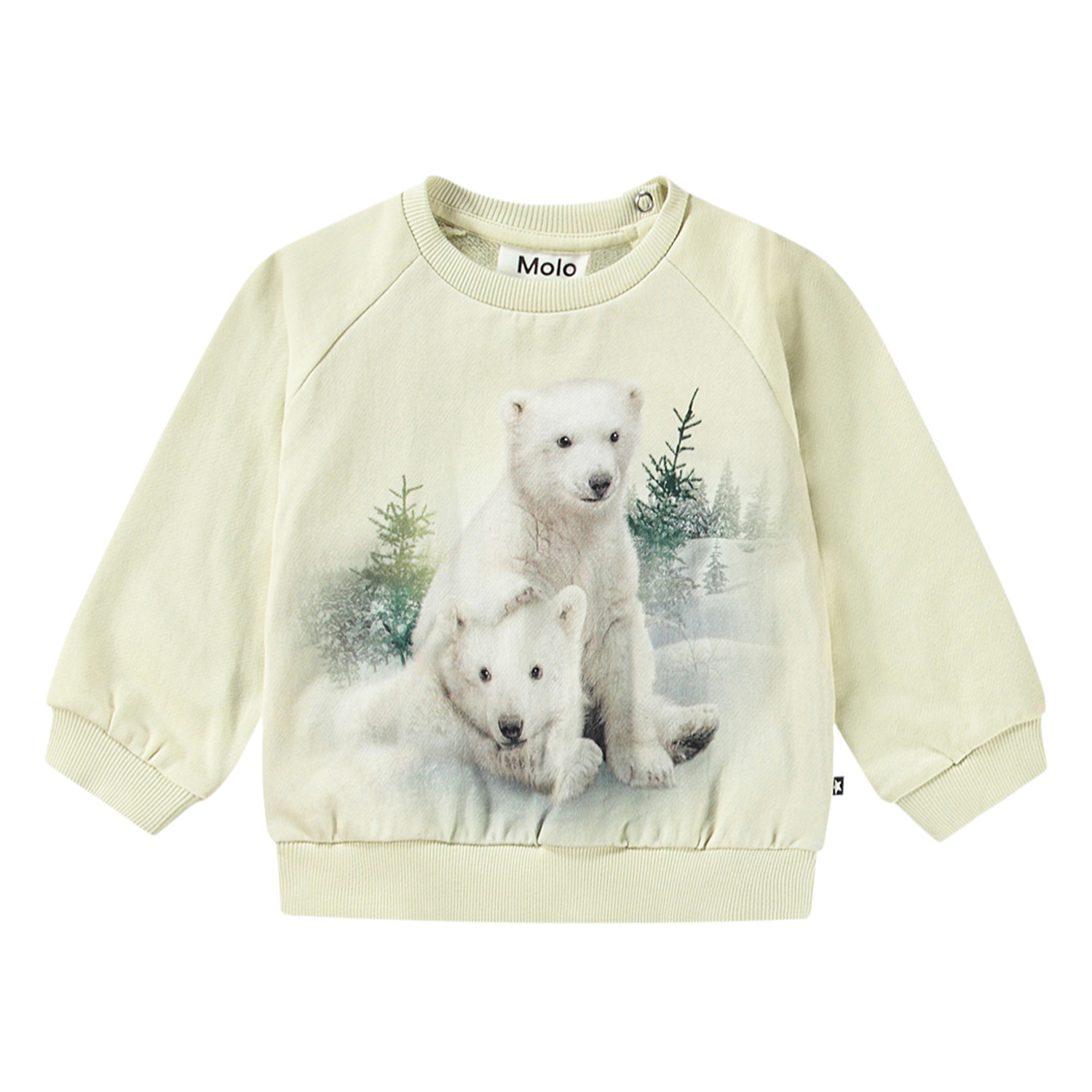 Disc - Snowy Bear Cubs