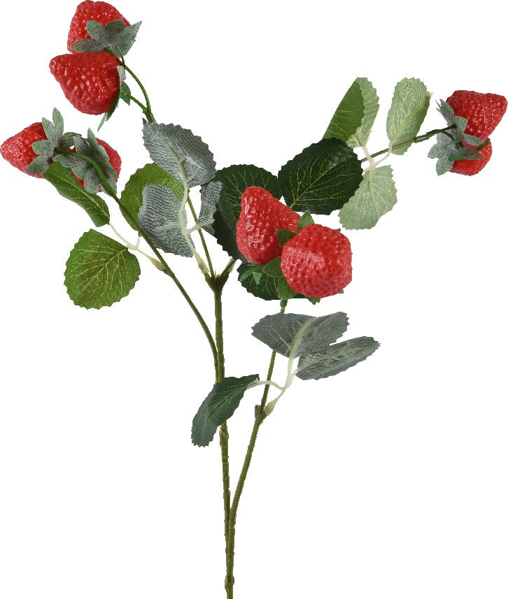 Everlands kunsttak aardbei rood 3 x 16 x 69 cm