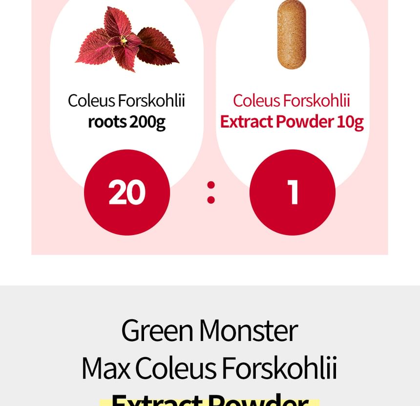 GROEN MONSTER - Max Coleus Forskohlii