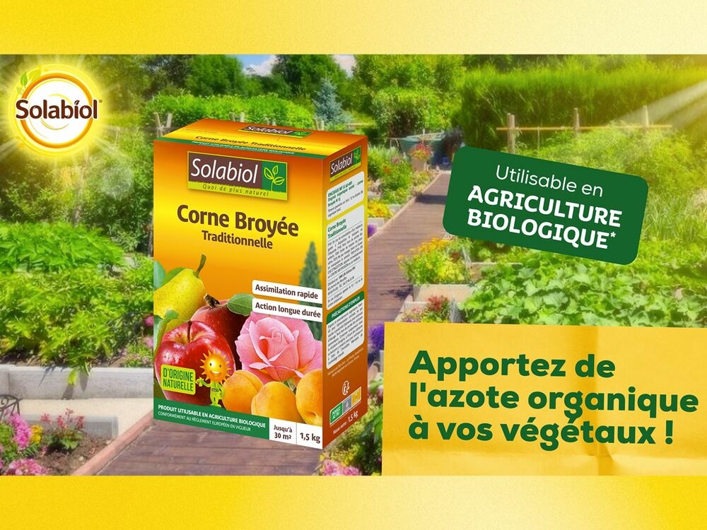 Socor15g10 | corne broyée traditionnelle | 1,5kg |favorise le développ
