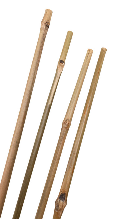 Bambuspinde 150 cm 3 stk.