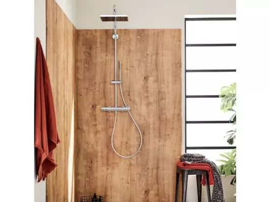 Colonne de douche thermostatique JACOB DELAFON Brigitte + nettoyant Briochin