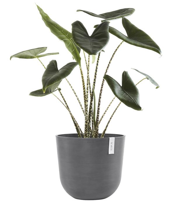 Ecopots Kunststoff-Topf Oslo mit Wassersystem,