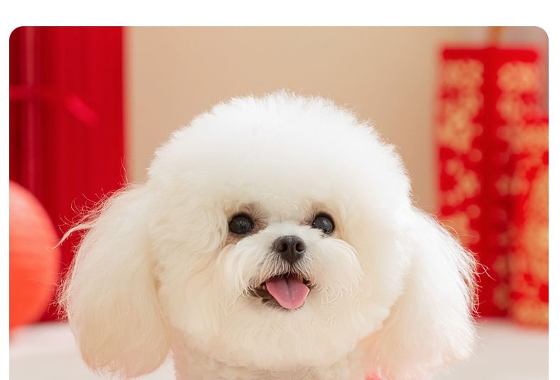 Cissilli - Chenille Pet Top voor Chinees Nieuwjaar (diverse ontwerpen)