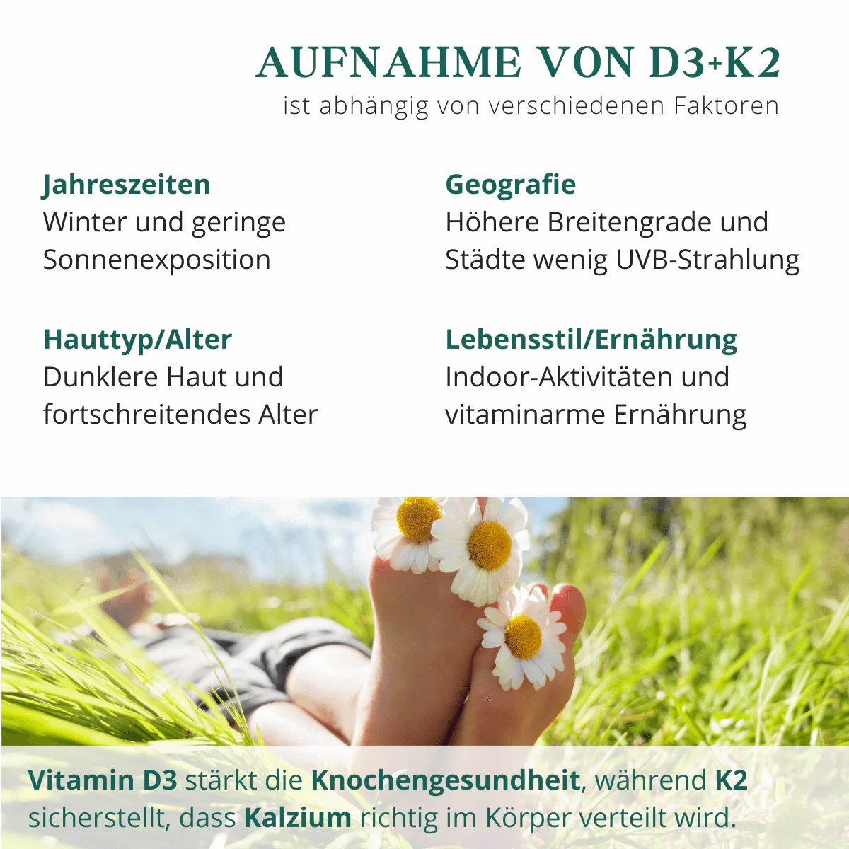 meinVitalium - vegane Vitamin D3+K2 Kapseln