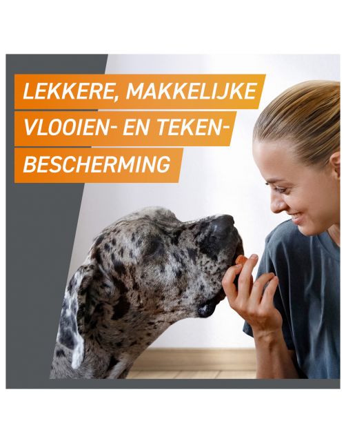 Frontpro Hond - Anti vlooien en tekenmiddel - >25-50 Kg Xlarge
