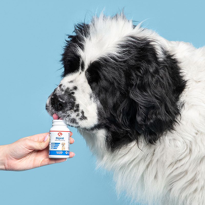Sectolin Digest Hond 100 tabletten | 13559