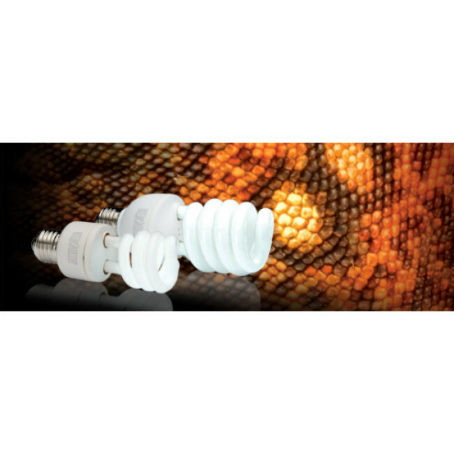 Ampoule fluocompacte climat désertique UVB 150 pour terrarium Exo Terra