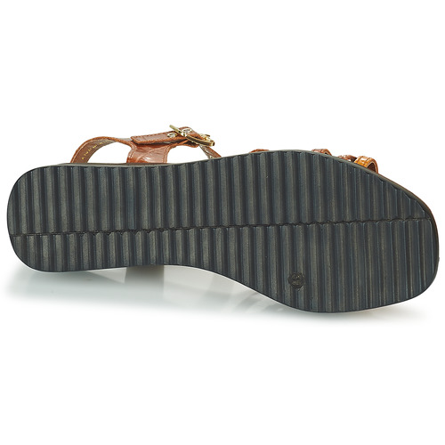 JB Martin - DAPHNE - VEAU ORANGE