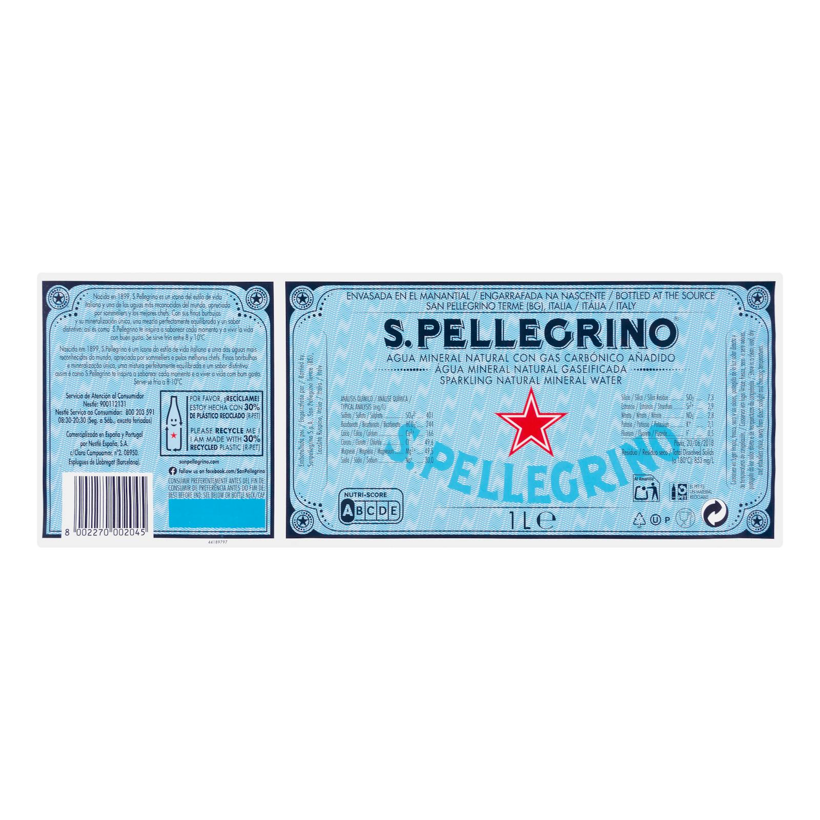 Eau minérale gazeuse San Pellegrino Large