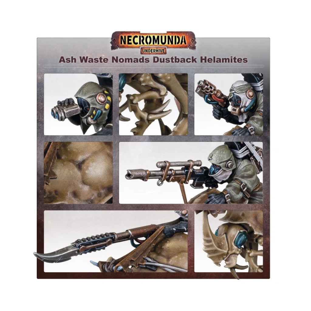 Necromunda : Ash Wastes